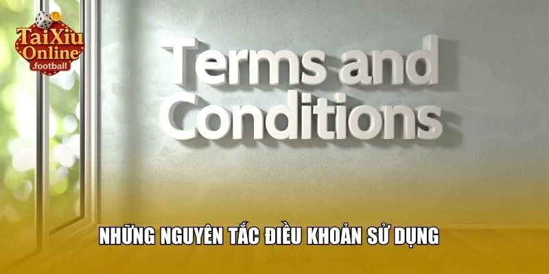 Những nguyên tắc điều khoản sử dụng