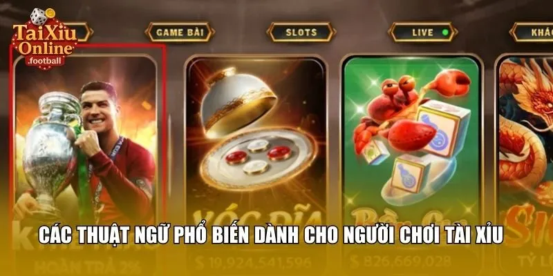 Luật chơi cần biết khi chơi tài xỉu HitClub