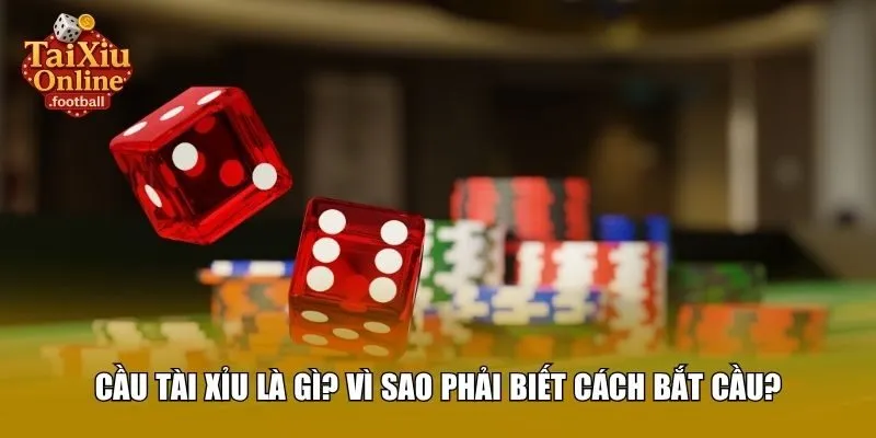 Cầu tài xỉu là gì? Vì sao phải biết cách bắt cầu?