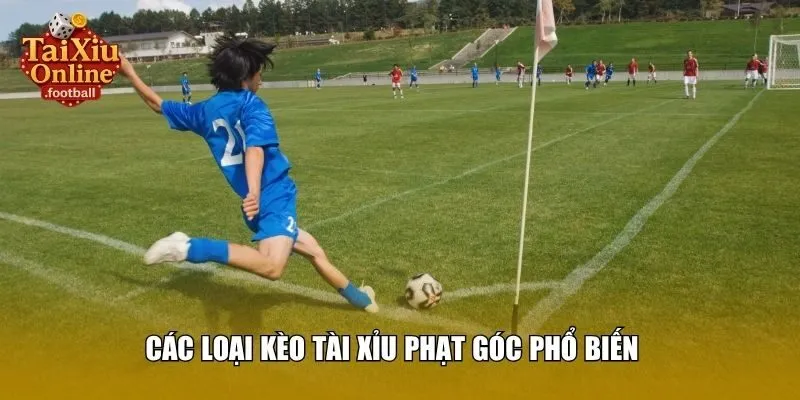 Các loại kèo tài xỉu phạt góc phổ biến (Toàn trận, hiệp 1, live)