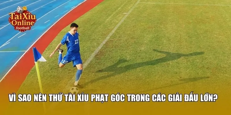 Vì sao nên thử tài xỉu phạt góc trong các giải đấu lớn?