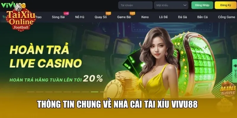 Thông tin chung về nhà cái tài xỉu Vivu88